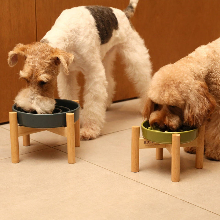 Wave Slow Feeder Dog Bowls