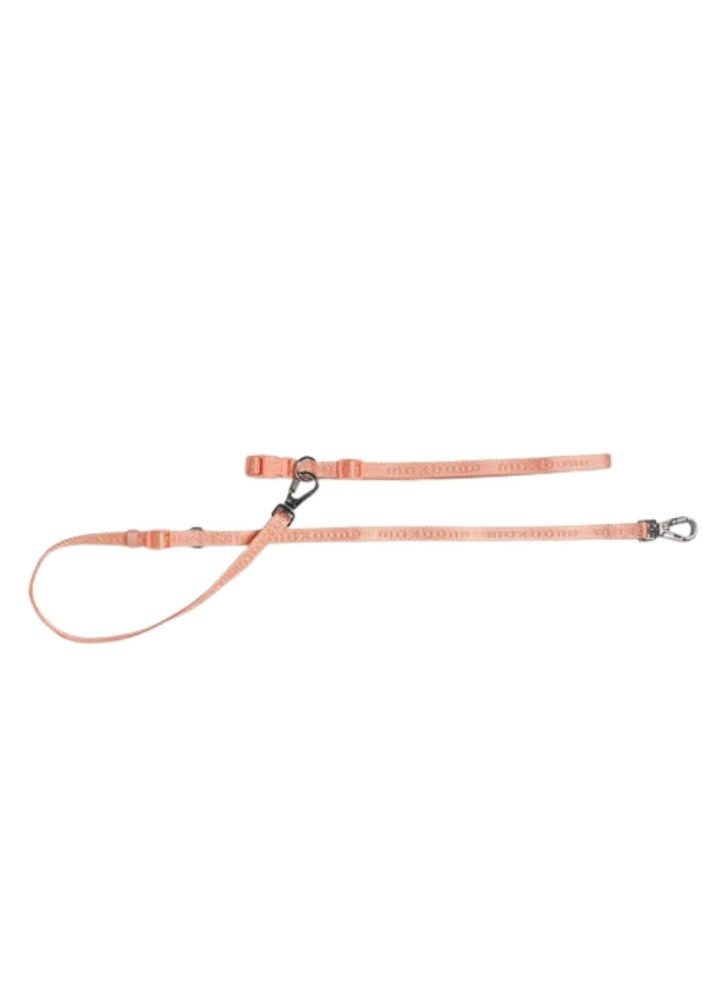 Hands-Free Leash for Dogs