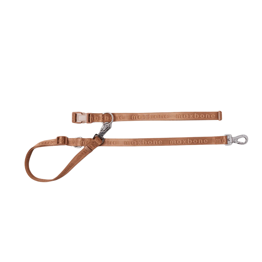 Hands-Free Leash for Dogs