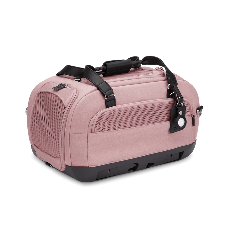 Dupree II Airline Carrier Pet Car Seat