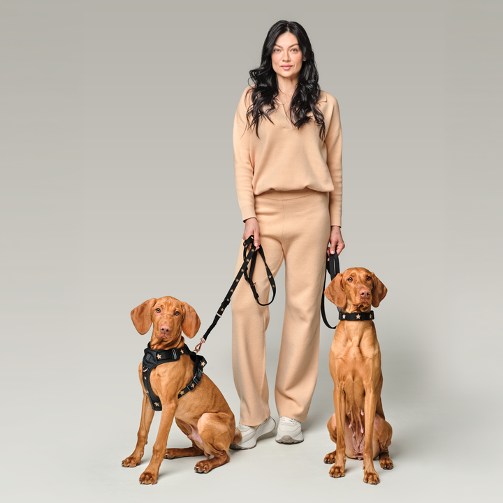 3-in-1 City Dog Leash - Rockstar