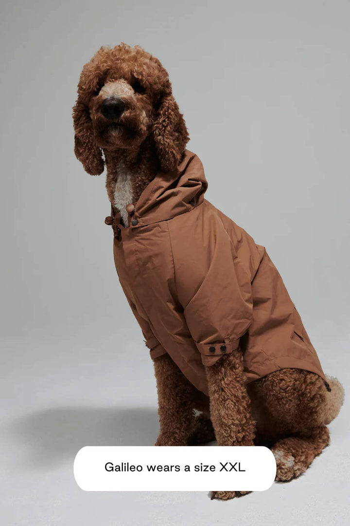Talon Raincoat for Dogs