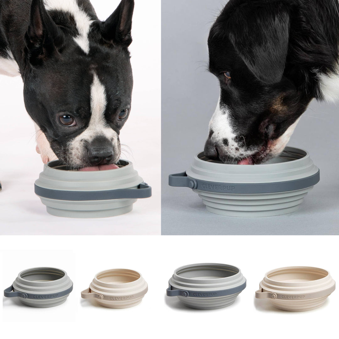 Nomad Collapsible Dog Bowl