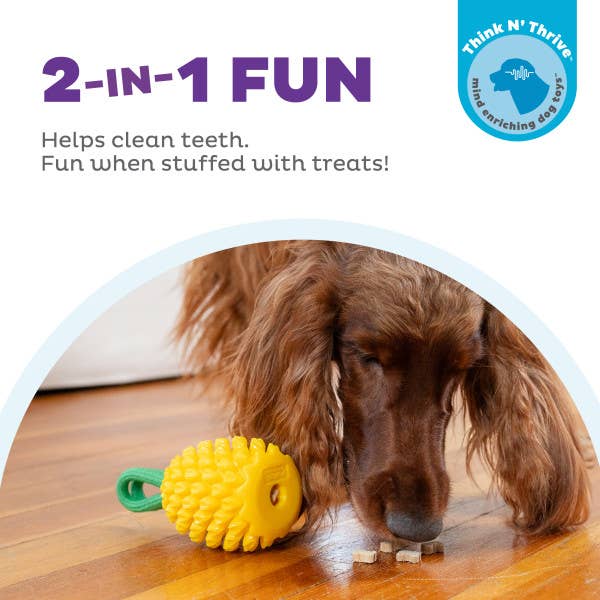 Dental Pineapple Dog Chew Toy