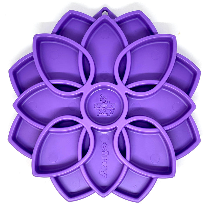 Mandala Design eTray Enrichment Tray