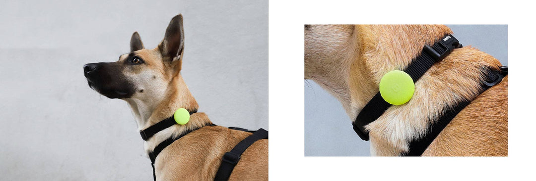 Lime AirTag Holder