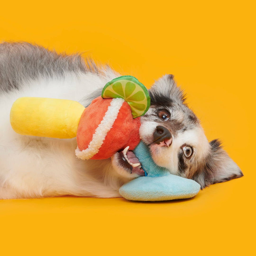 Bulldog Barkarita Plush Dog Toy