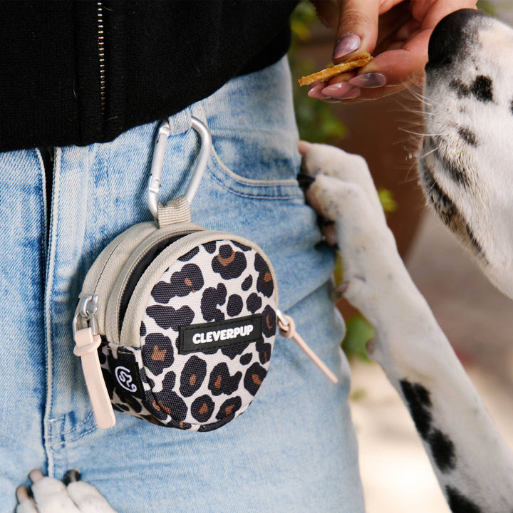 Snackpack Double Insulated Dog Treat Pouch