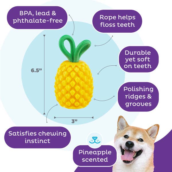 Dental Pineapple Dog Chew Toy