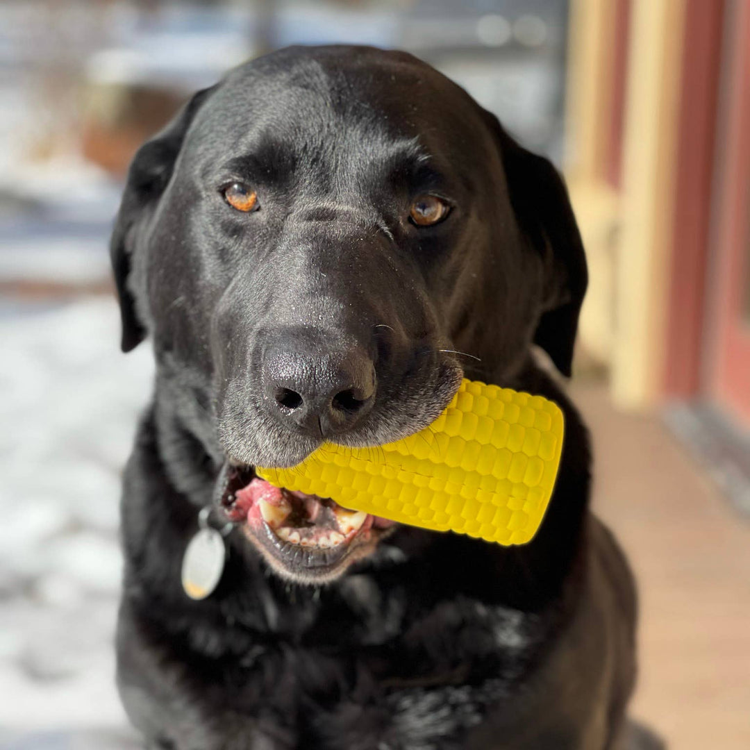 Corn on the Cob Treat Dispenser