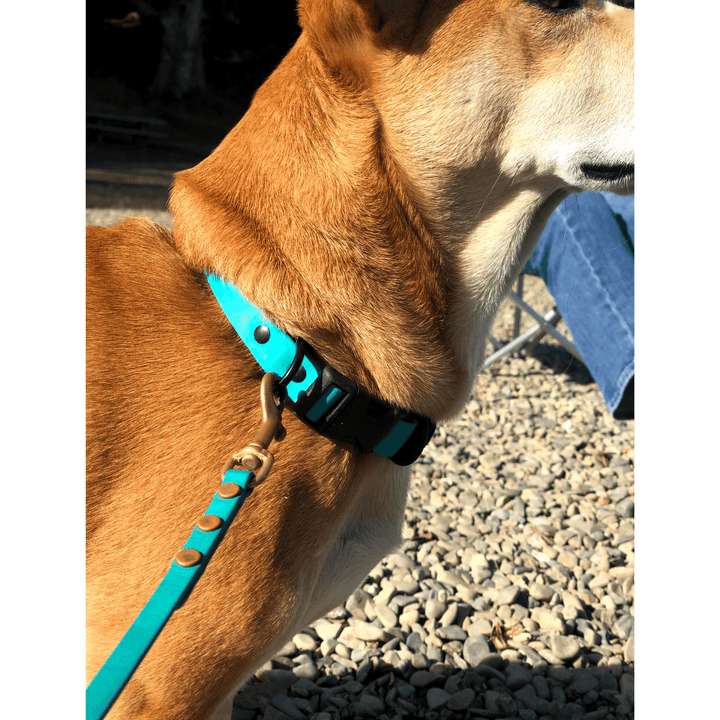 BioThane Collar - Sport (Quick Release Buckle)