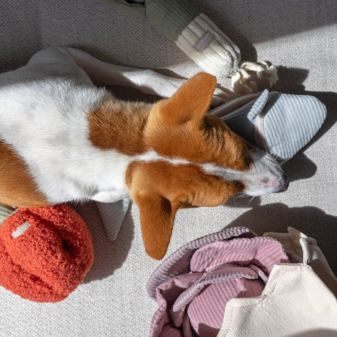 Pepper Enrichment Snuffle Toy