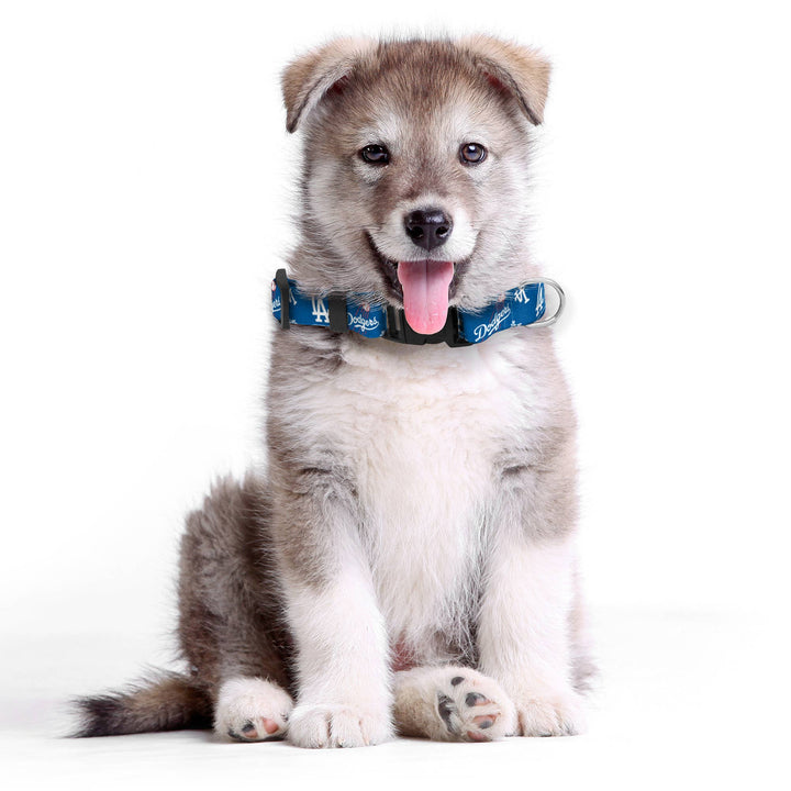 MLB LA Dodgers Pet Collar