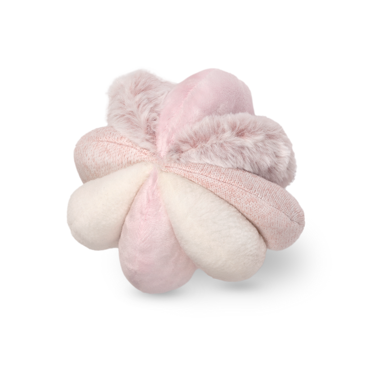 Toto Enrichment Dog Toy