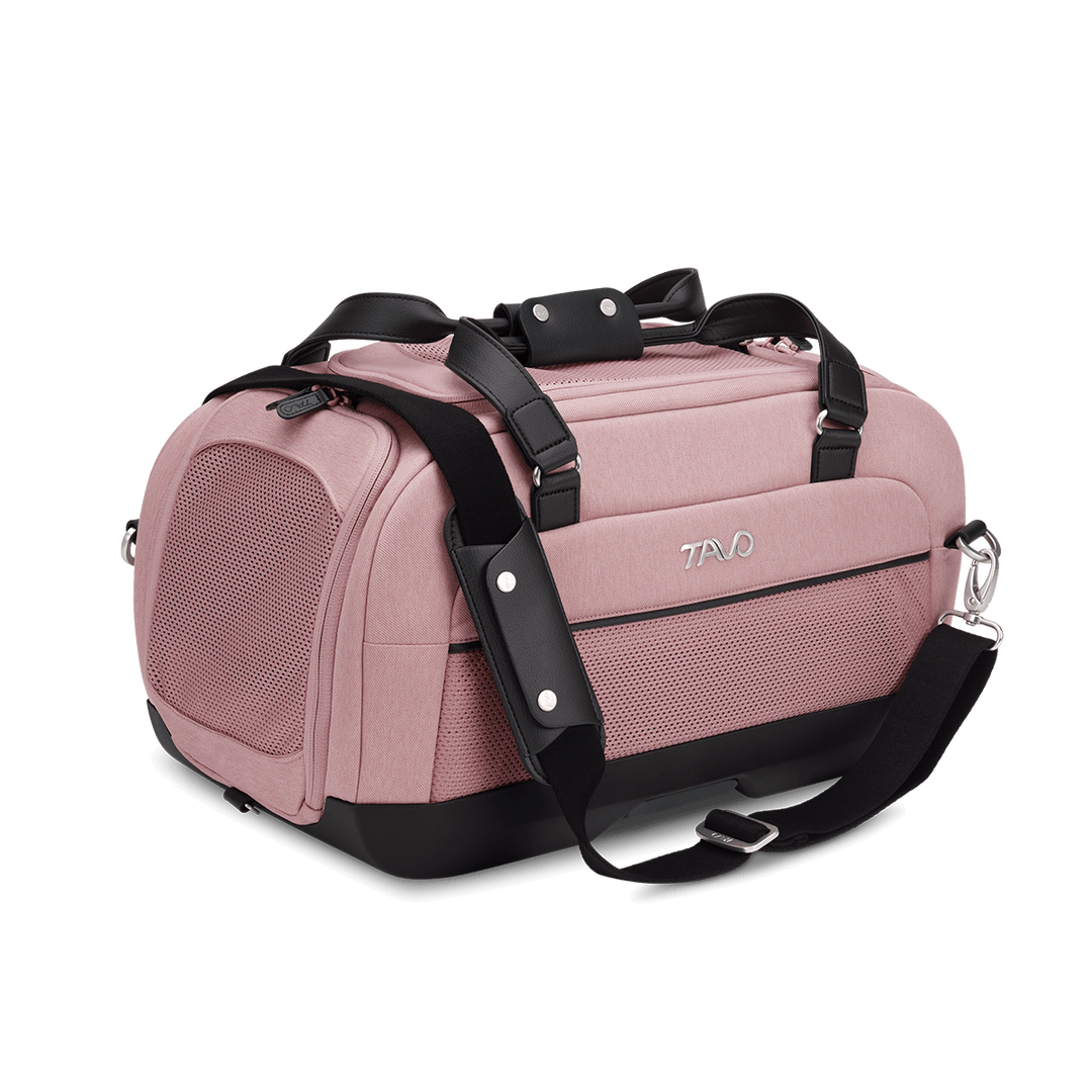 Dupree II Airline Carrier Pet Car Seat