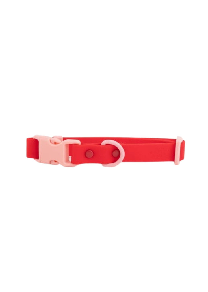 USA - The Fritz Dog Collar
