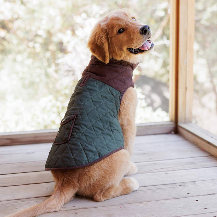 Olive Reversible Dog Jacket