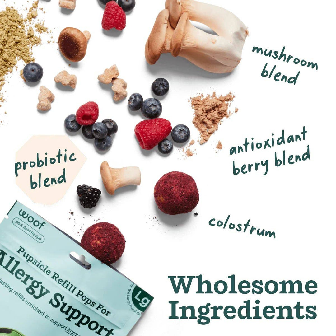 Allergy Support Wellness Pops
