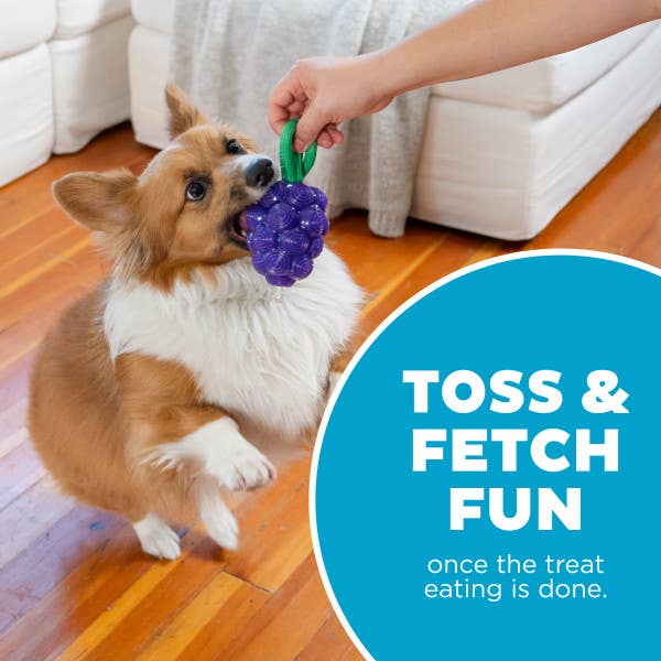 Dental Grapes Dog Chew Toy Purple, Medium