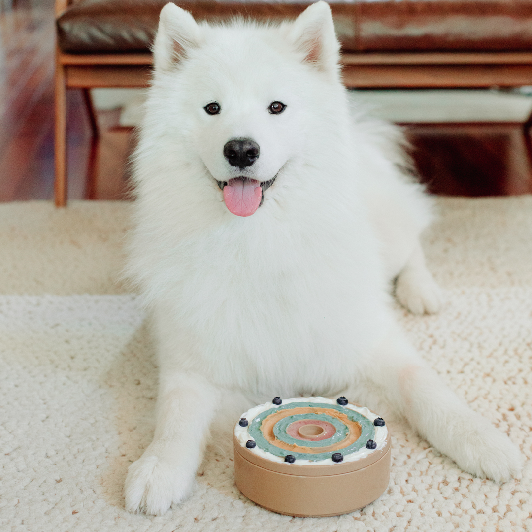 3-in-1 Bento Lick Mat + Slow Feeder