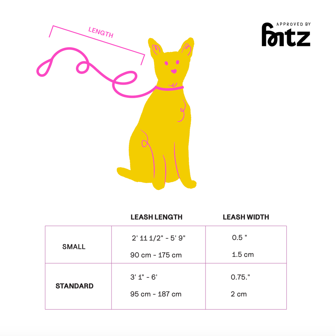 USA - The Fritz Dog Leash | Leash wit Handle | Multi Dog Leash