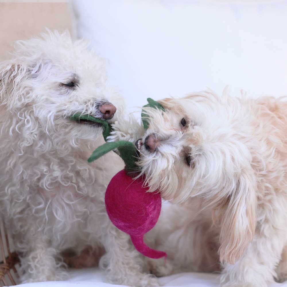 Wool Turnip Wool Dog Toy