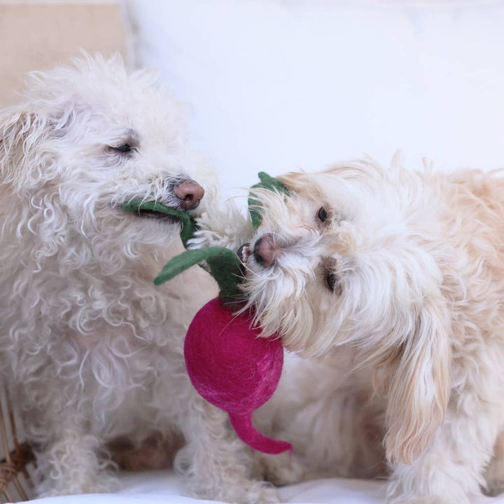 Wool Turnip Wool Dog Toy
