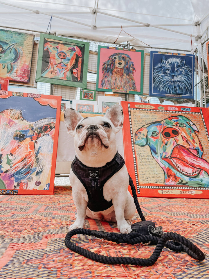 Rope Leash - Noir
