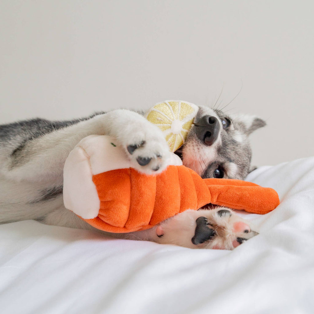 Grilled Lobster Nosework Toy