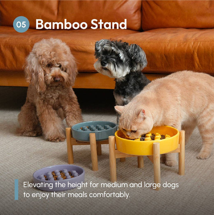 Macaroni Slow Feeder Dog Bowls