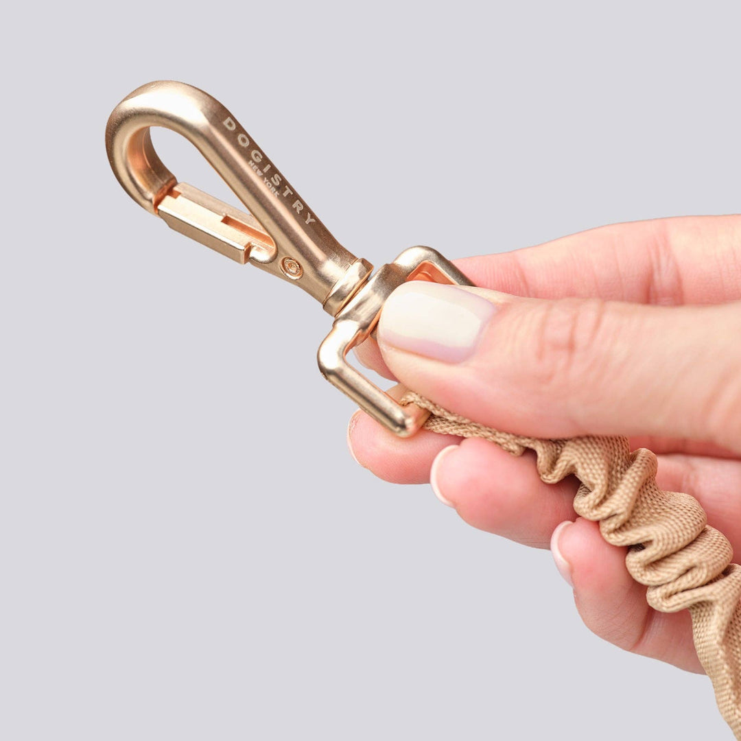 3-in-1 City Dog Leash - Hamptons