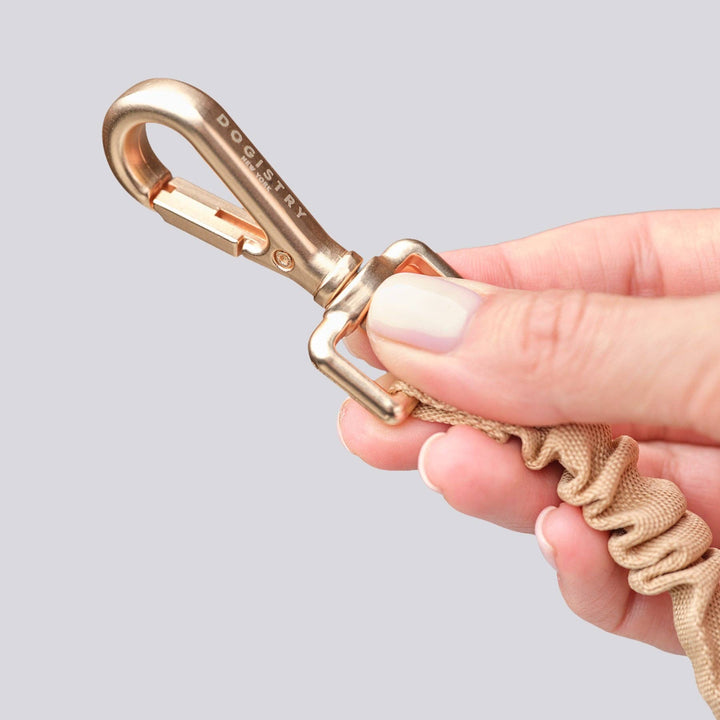 3-in-1 City Dog Leash - Hamptons
