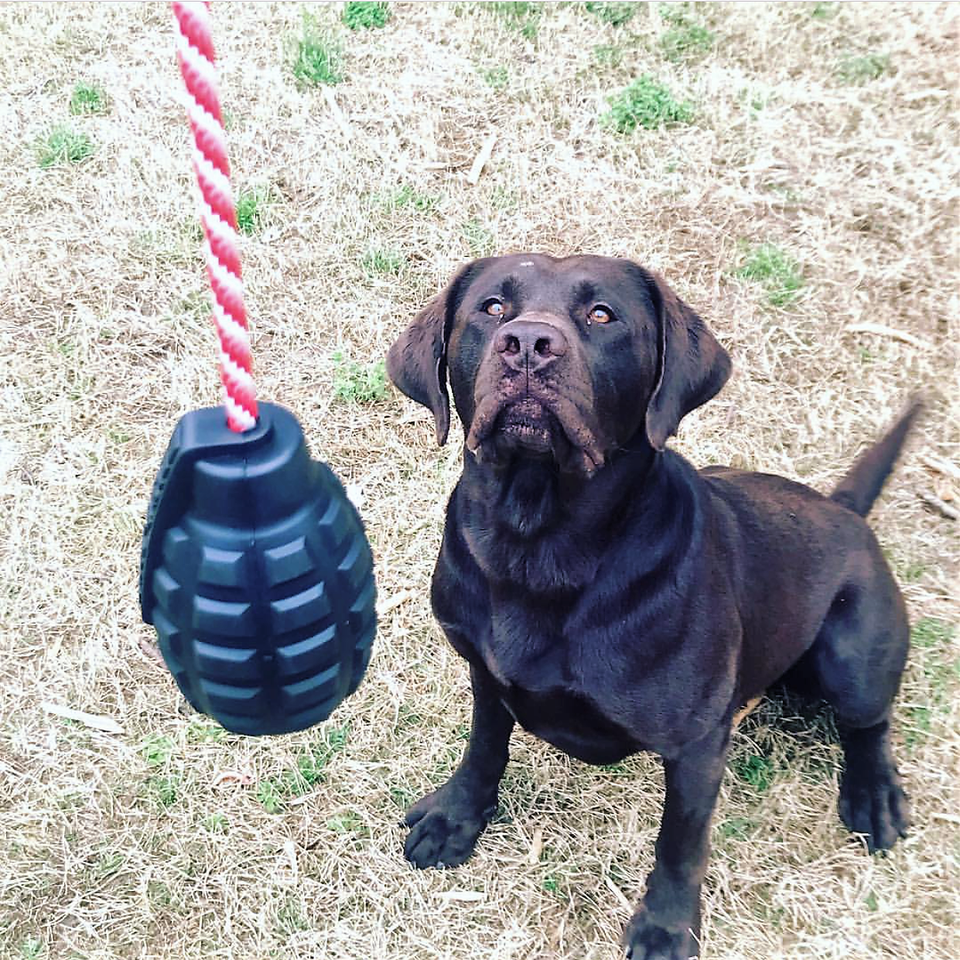 USA-K9 Magnum Grenade: Chew Toy &amp; Reward Toy