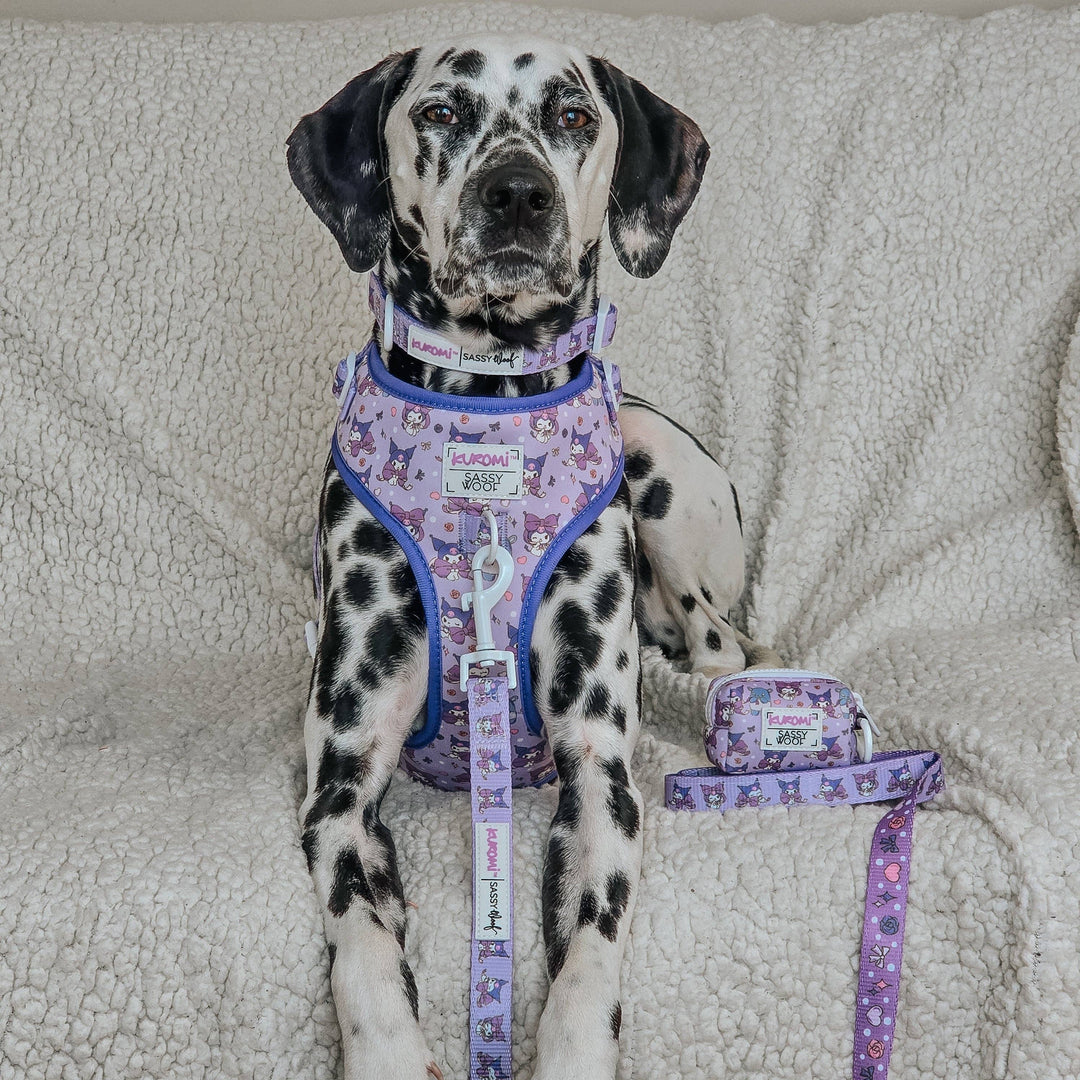 Dog Waste Bag Holder Kuromi™