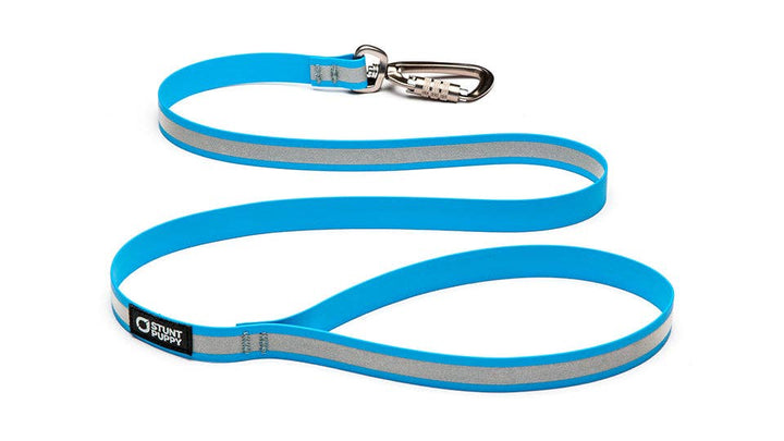 Dry Leash Go Dog Glo™