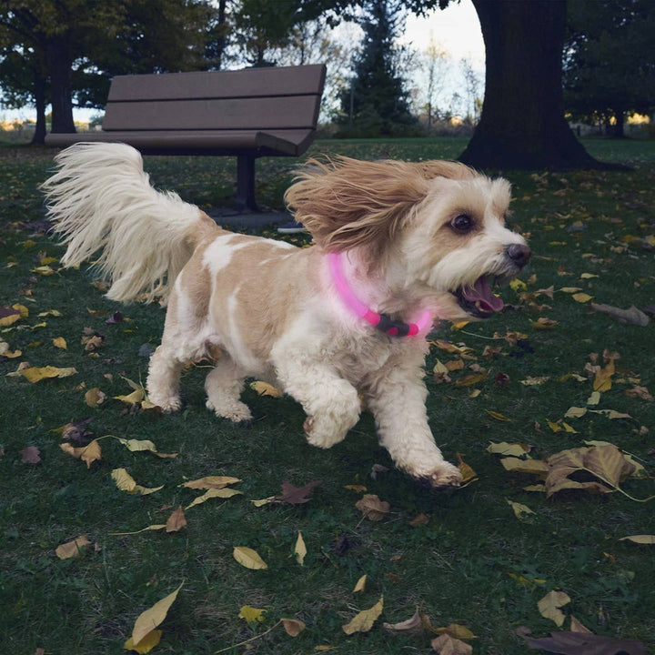 NiteHowl® Rechargeable LED Safety Necklace Pink