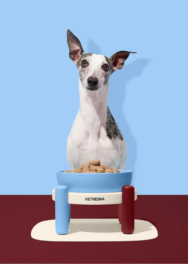Mist and Merlot Pet Bowl &amp; Mat Set (Medium)