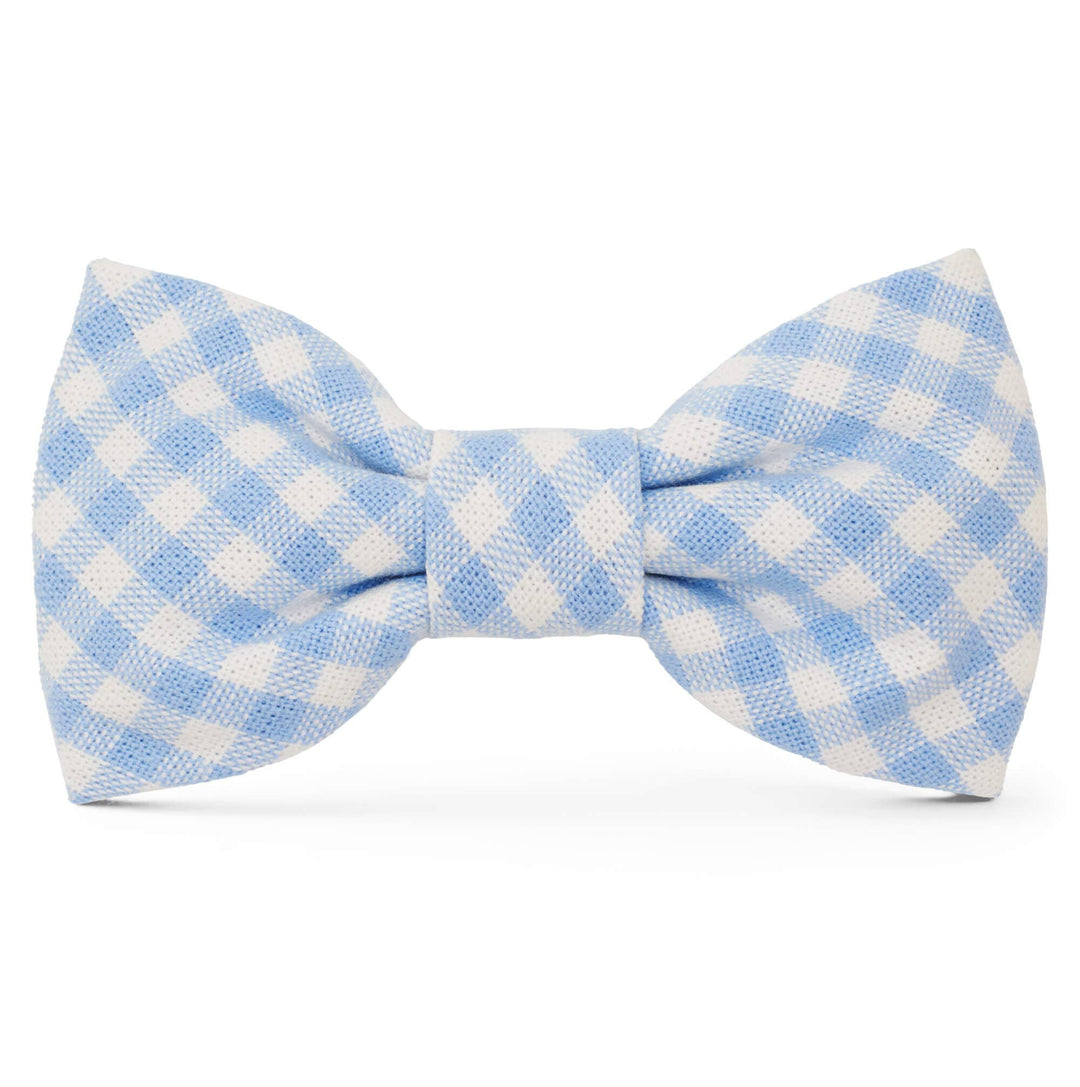 Sky Blue Gingham Spring Dog Bow Tie
