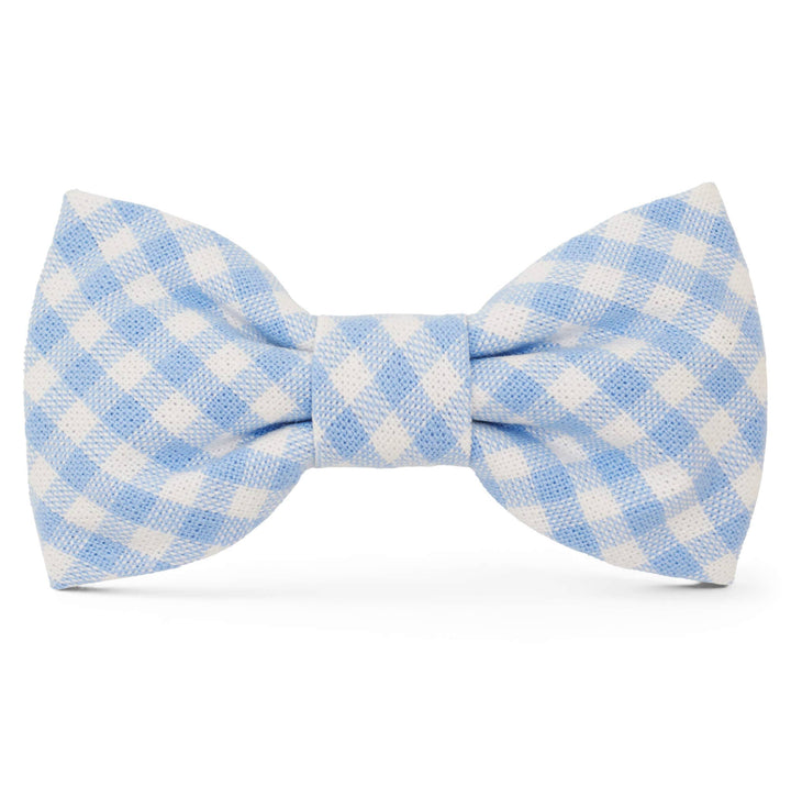 Sky Blue Gingham Spring Dog Bow Tie