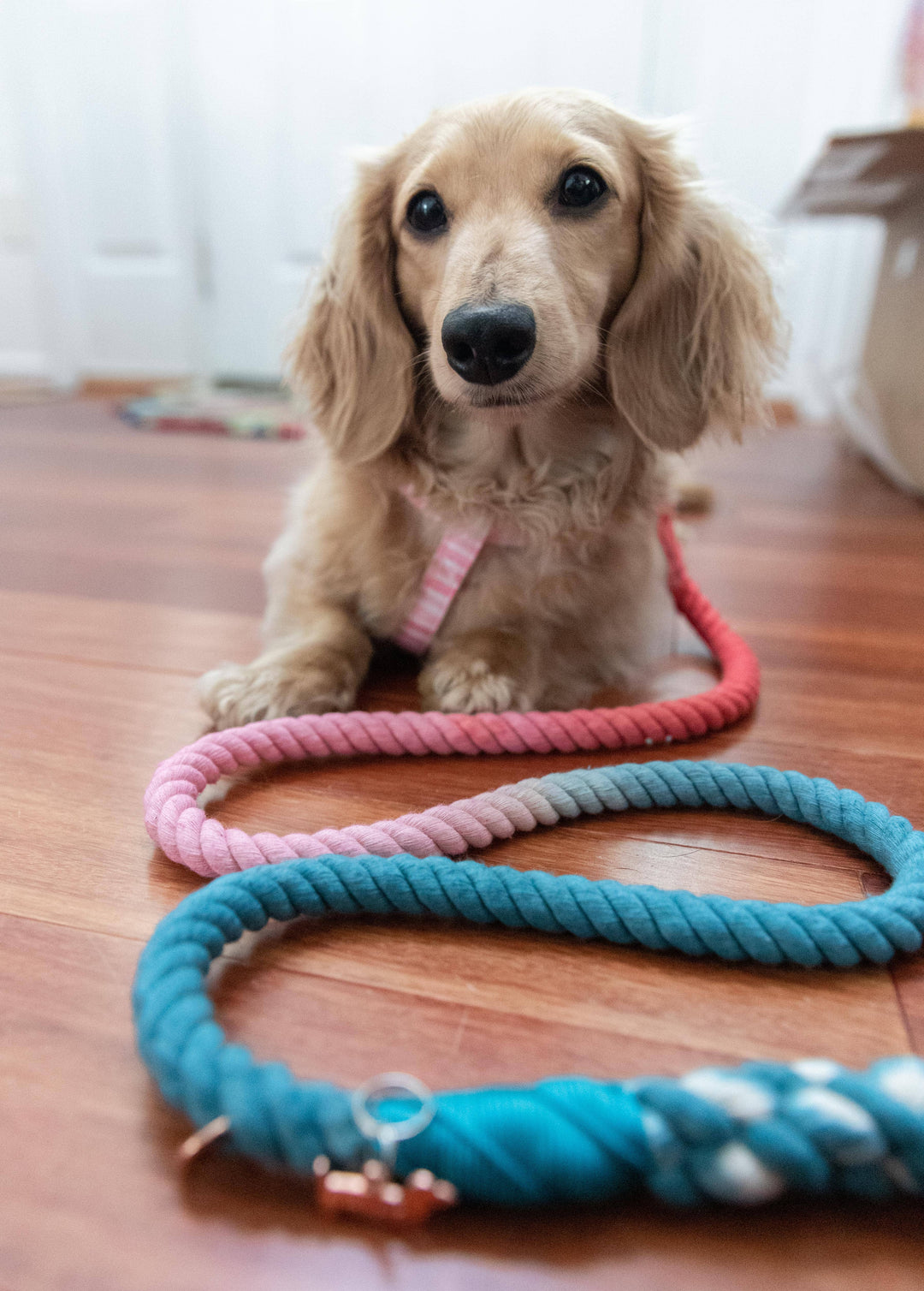 Rope Leash Jack &amp; Jill