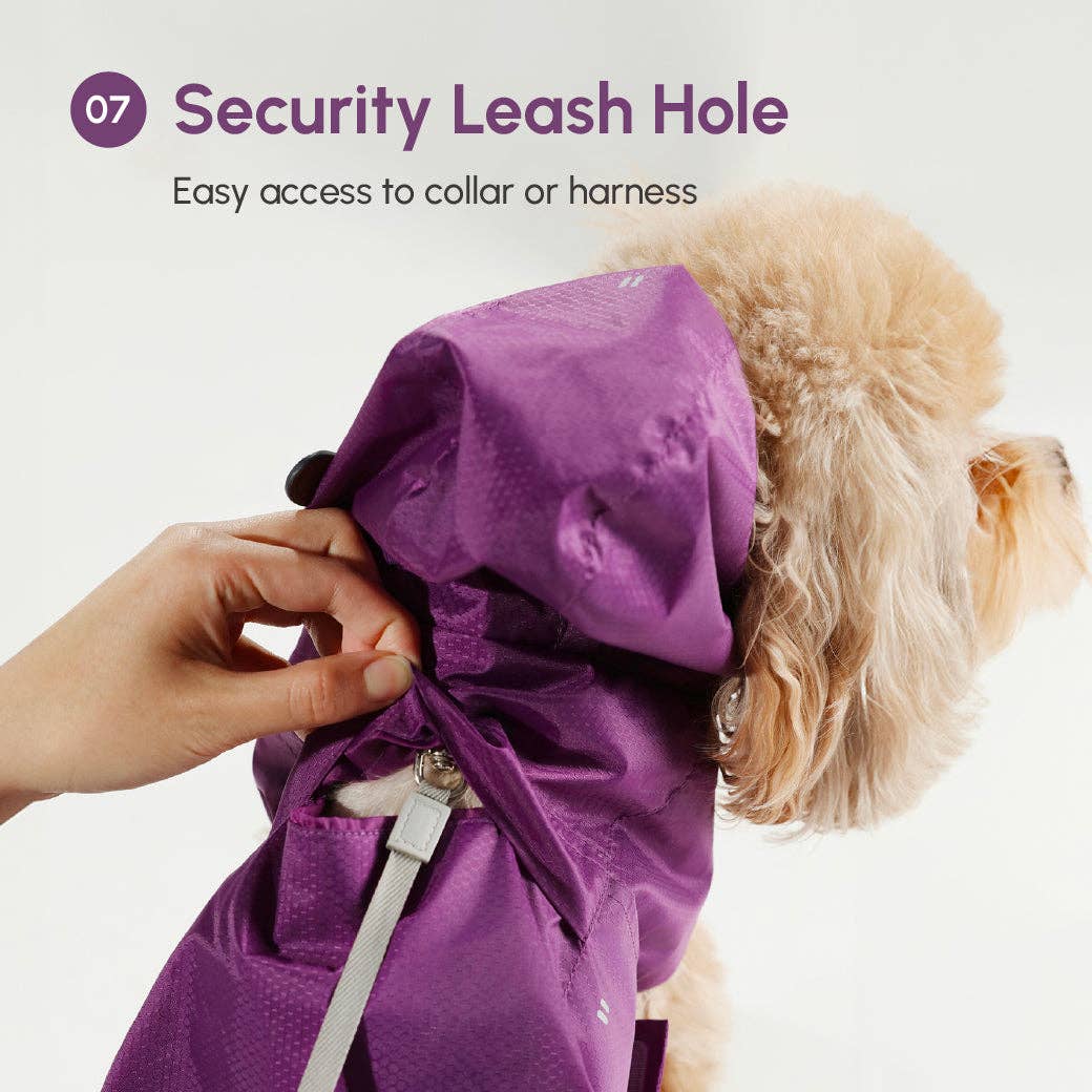 Capsule Raincoat - Blue