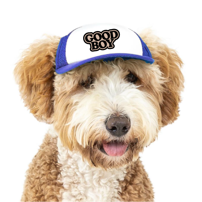 Good Boy | Trucker Hat for Dogs