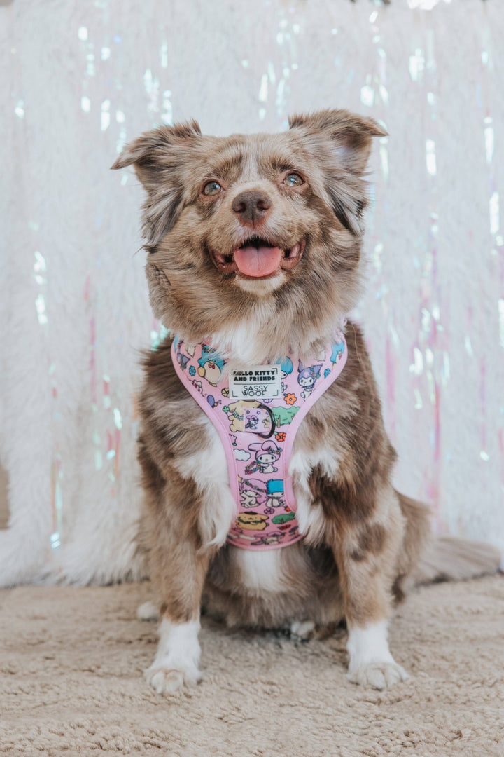 Hello Kitty® &amp; Friends Flower Festival - Adjustable Harness