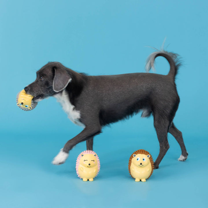 On a Roll Small Latex Dog Toys Set of 3