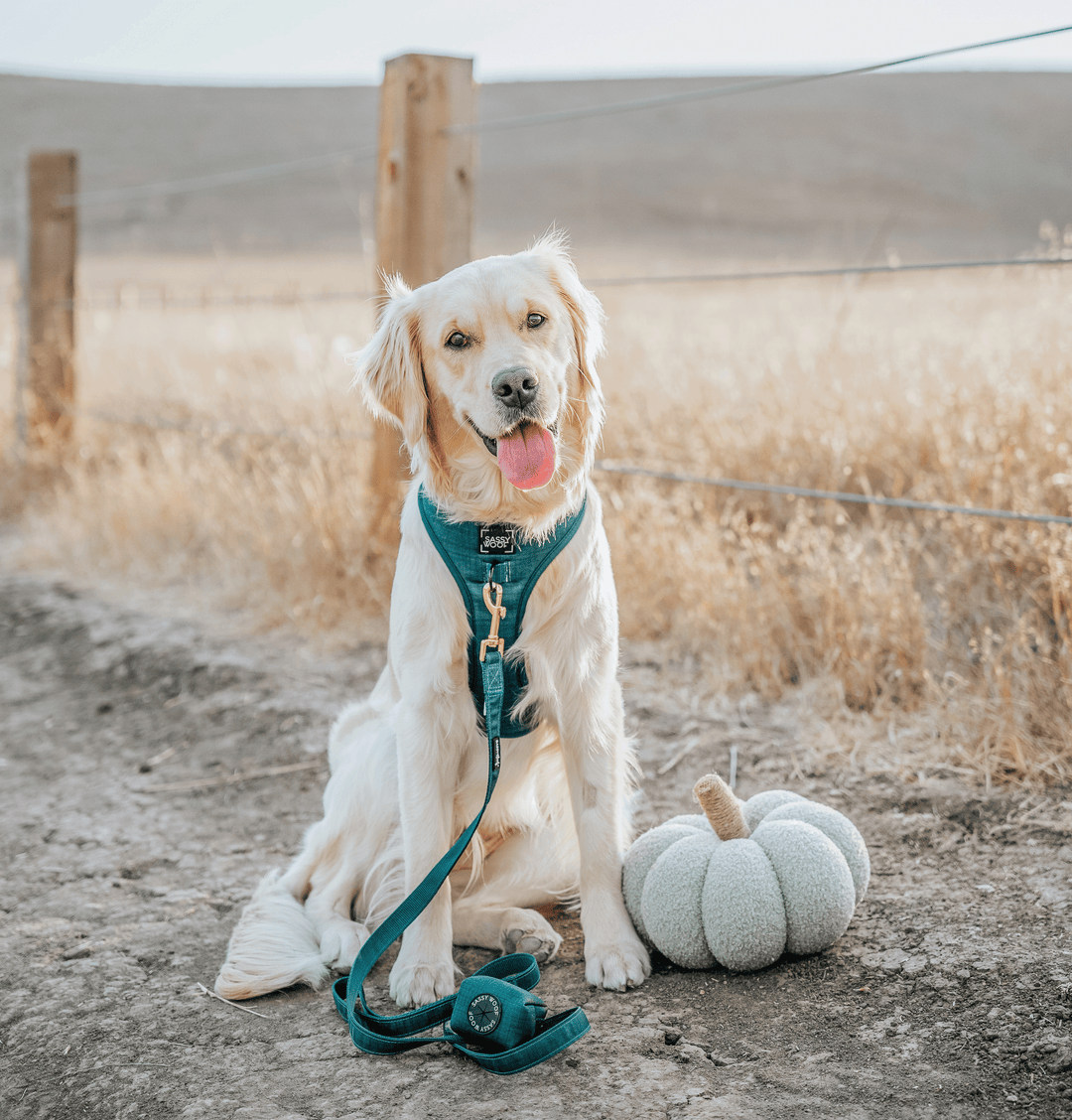 Dog Waste Bag Holder Forest