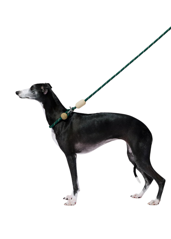 Santal Forest Connect Hands-Free Rope Leash