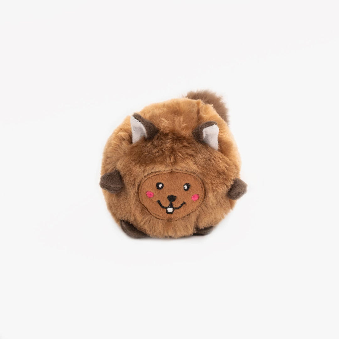 Bushy Throw Squirrel Dog Toy
