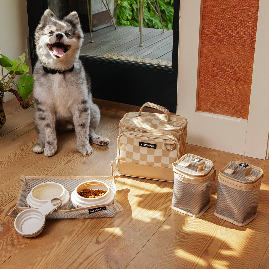 Bistro Box Dog Food Travel Kit
