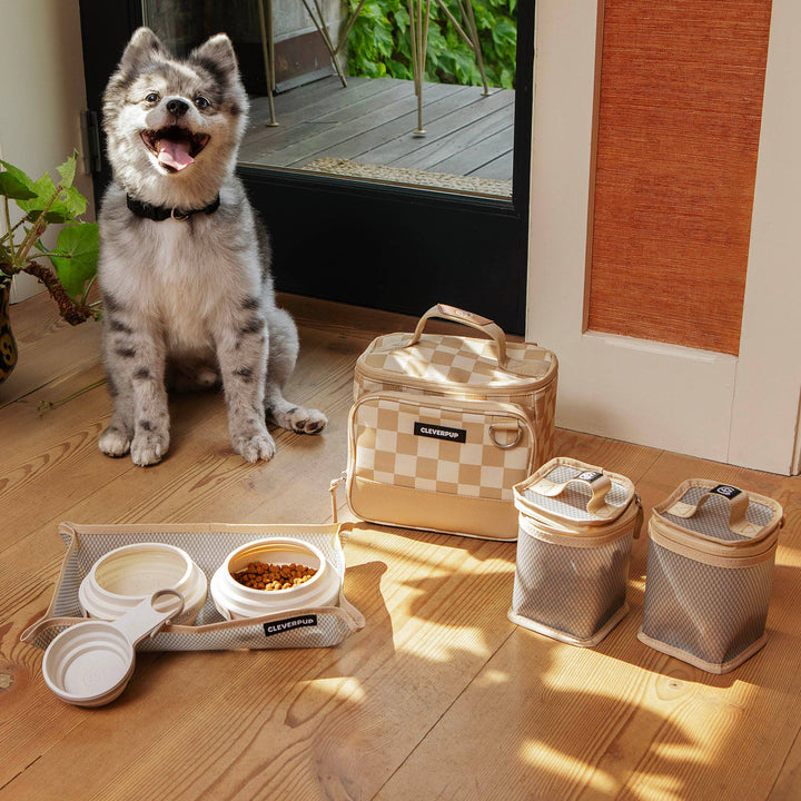 Bistro Box Dog Food Travel Kit