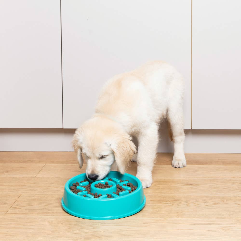 Happy Bowls -Donut - Dog Bowl